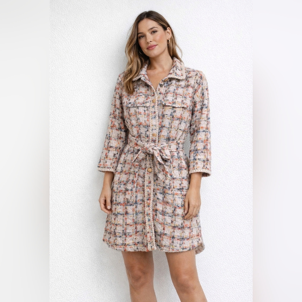 Easel Dress/Coat